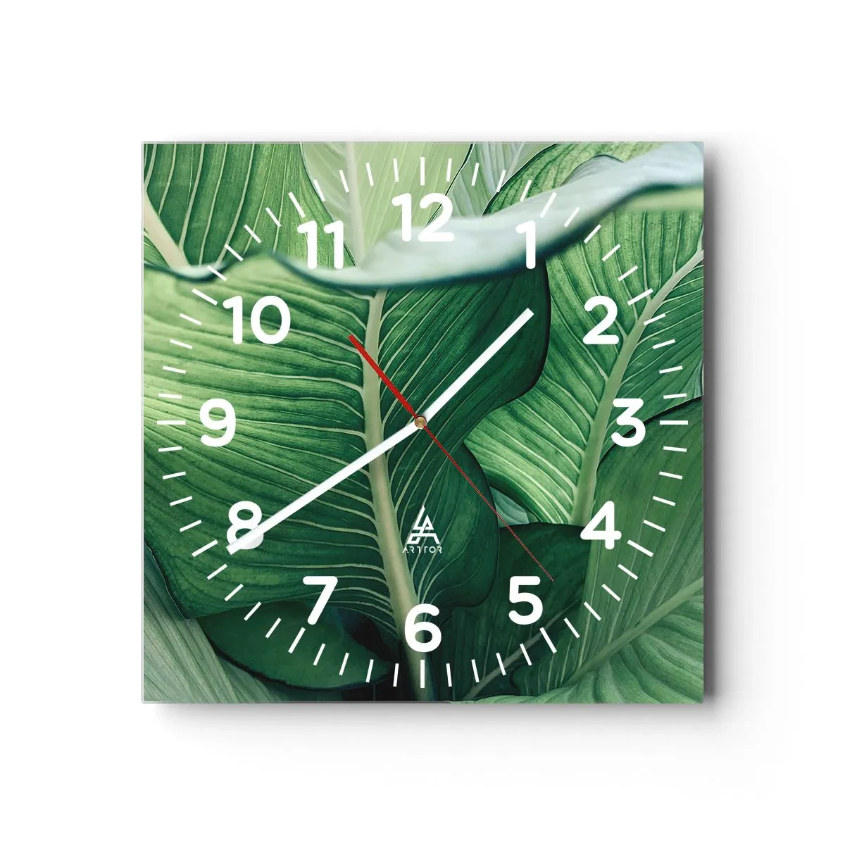 Ceas de perete - Ceas pe sticlă - Viață intensă în verde - 40x40 cm