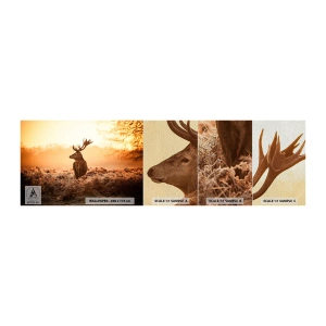 Mostră tapet Premium Sand - Stăpânul conacului - Peisaj, Cerb, Animale - 100x30 cm