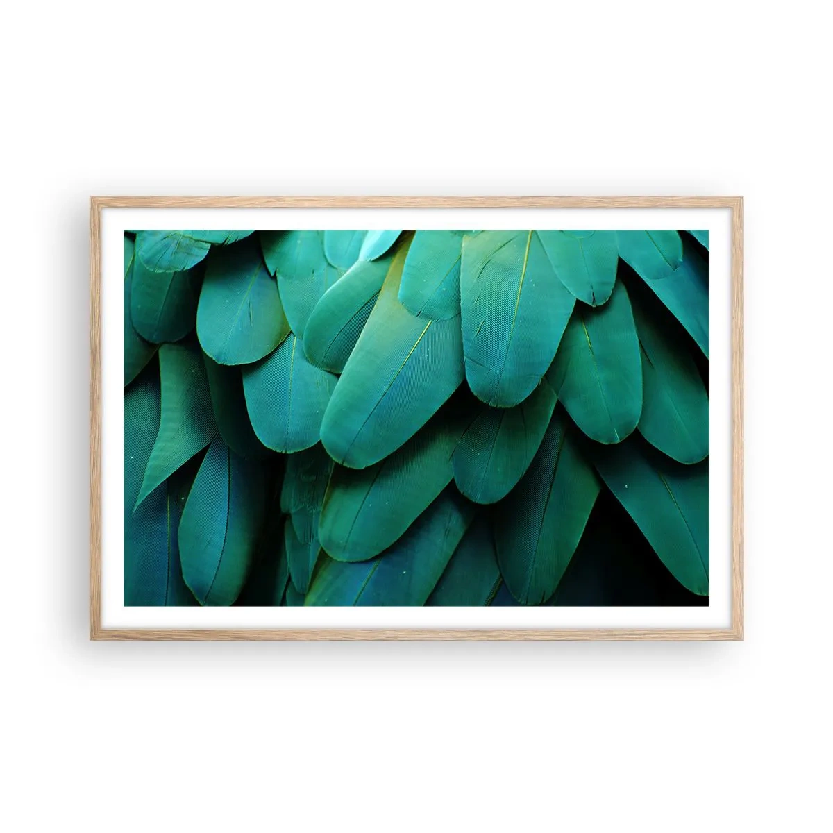 Poster în ramă de stejar deschis - Precizia naturii papagalicești - 91x61 cm