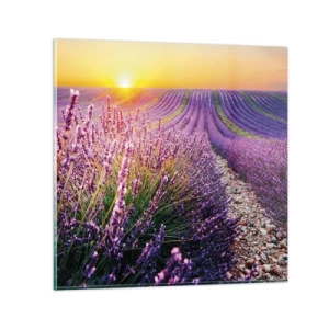 Tablou pe sticlă - Câmpul parfumat - 40x40 cm