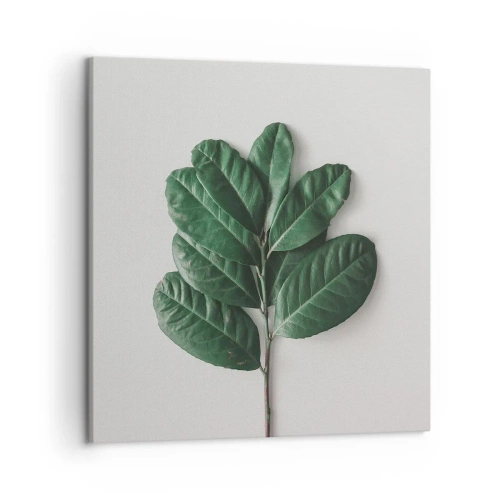 Tablou pe pânză - Desenul naturii însăși - 50x50 cm