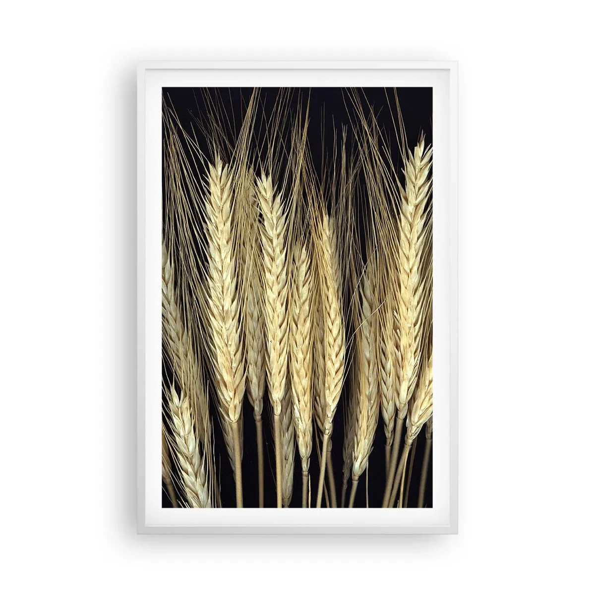 Poster în ramă albă - Magie rustică - 61x91 cm