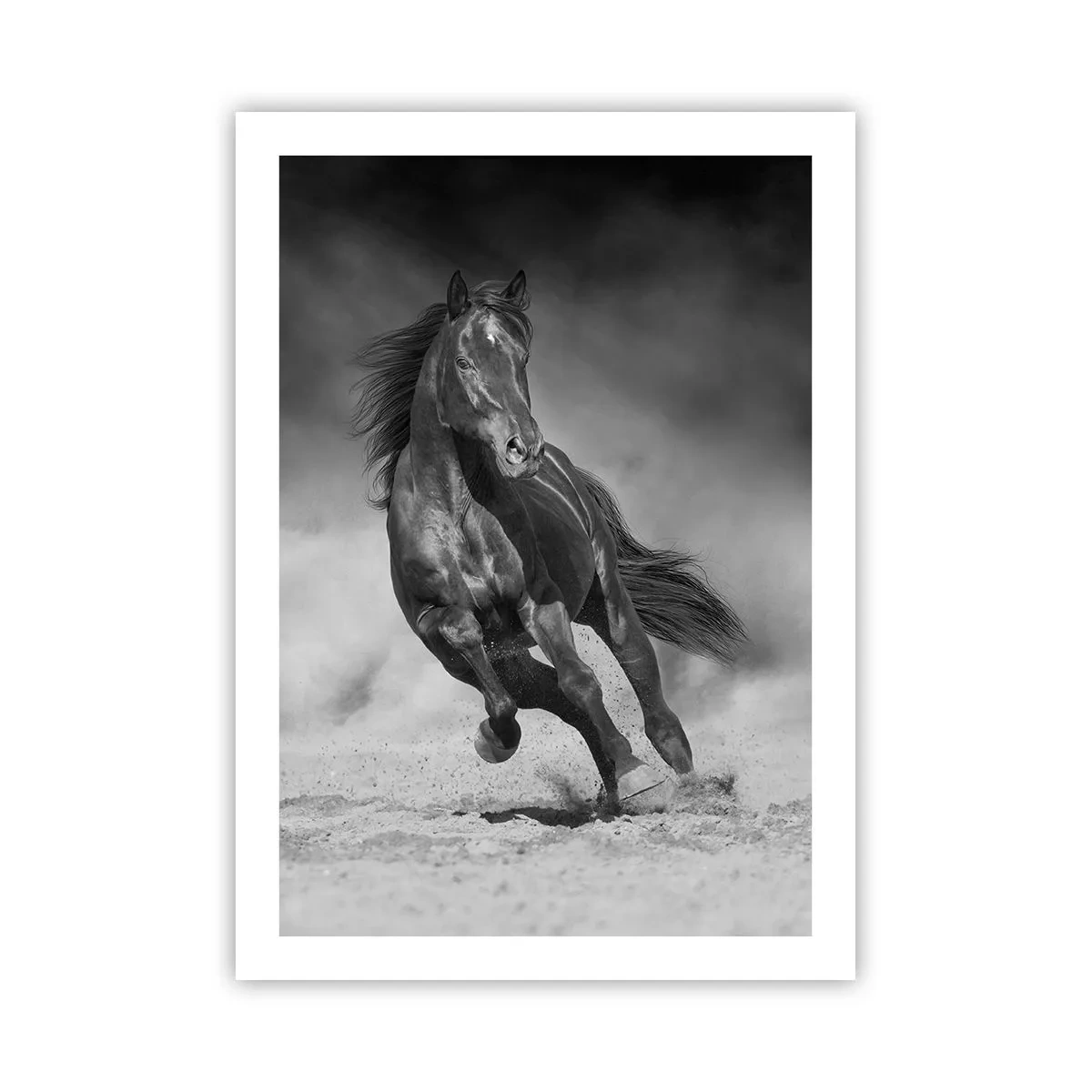 Poster - Dorința emirului - 50x70 cm