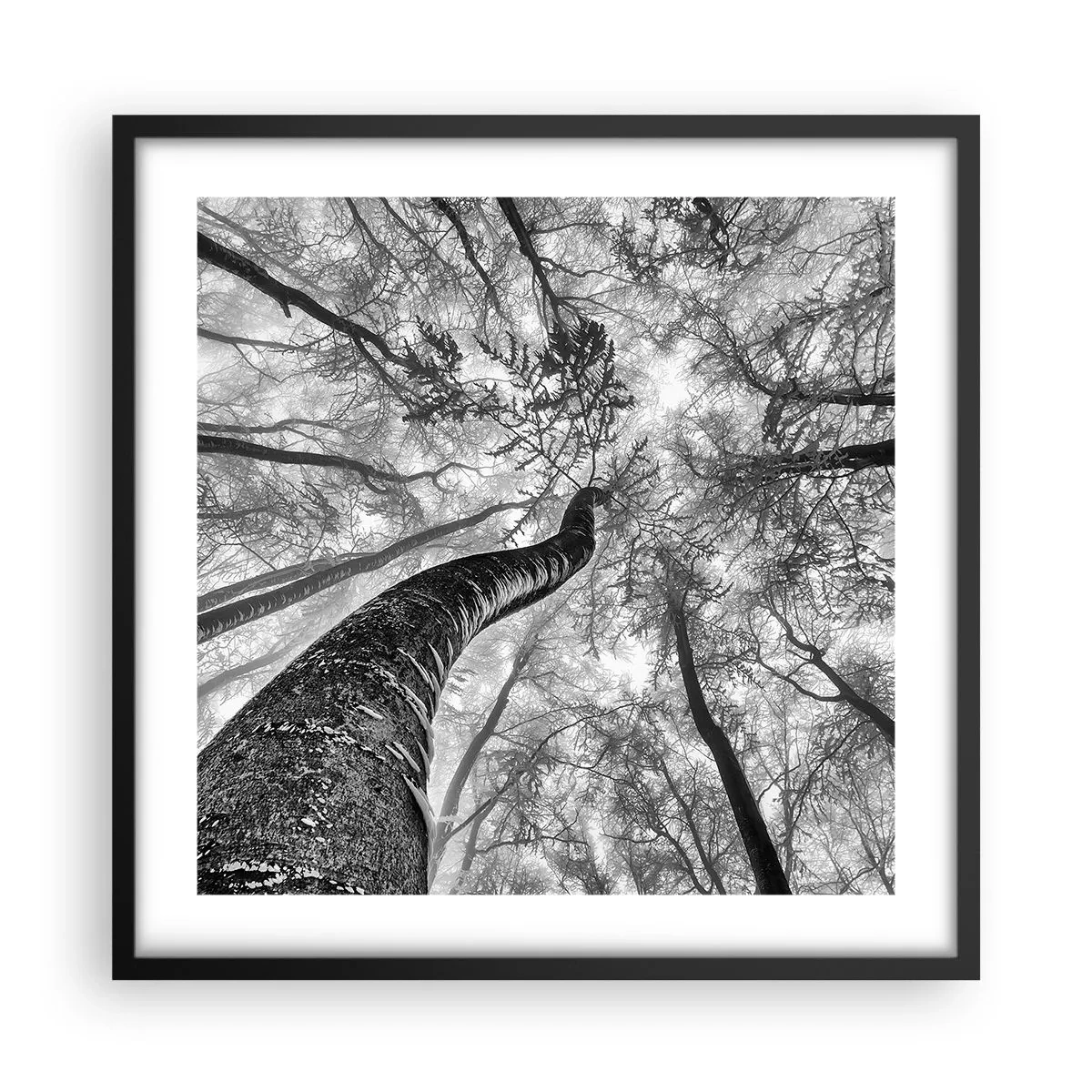 Poster în ramă neagră - Cursa spre lumină - 50x50 cm