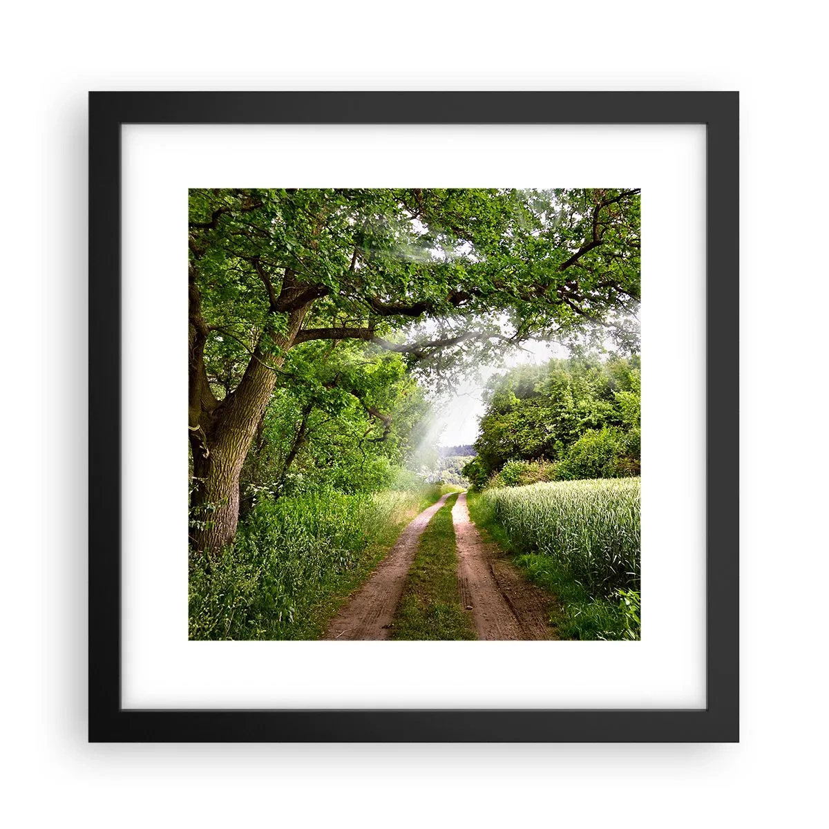 Poster în ramă neagră - Et in Arcadia ego - 30x30 cm