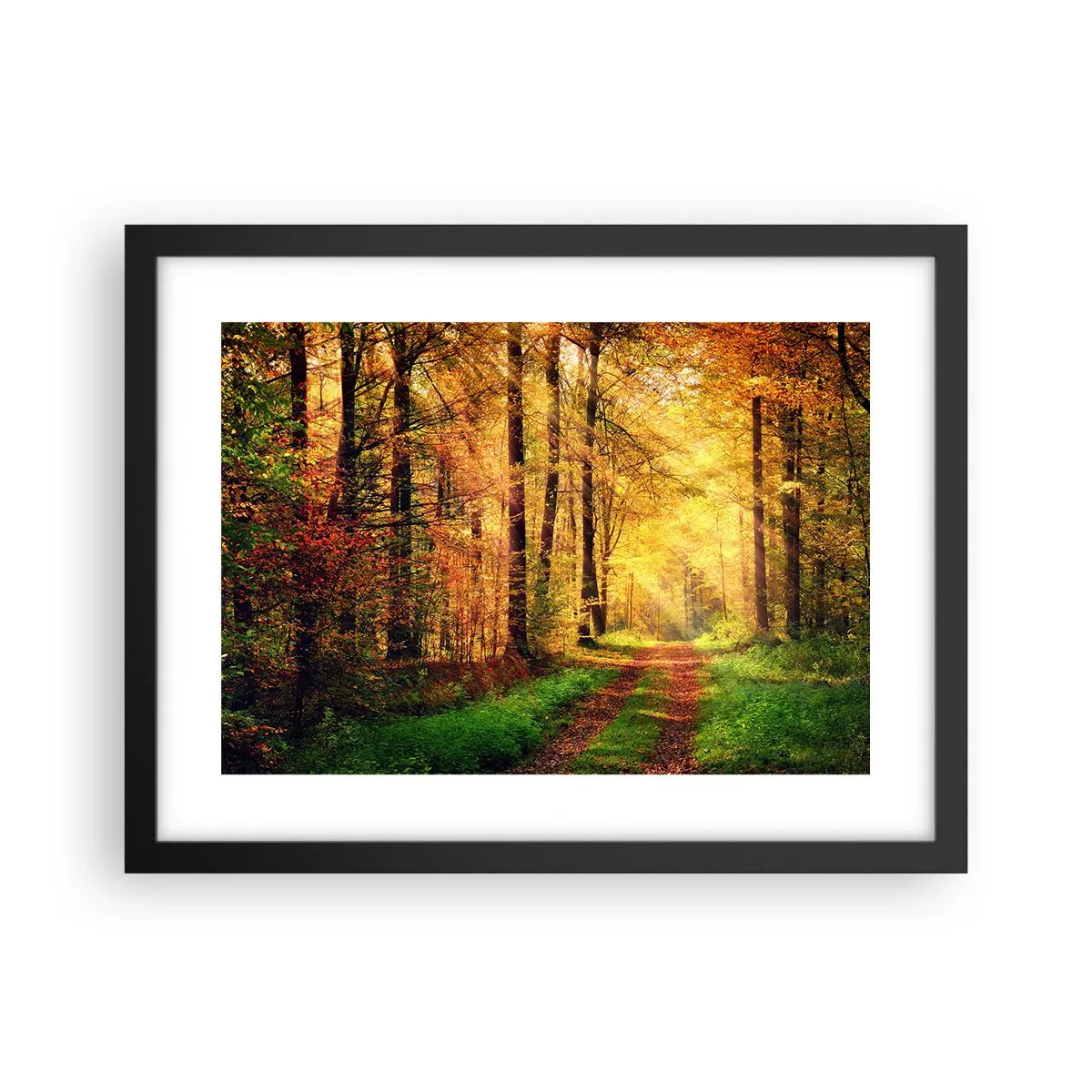 Poster în ramă neagră - Tăcere de aur de pădure - 40x30 cm
