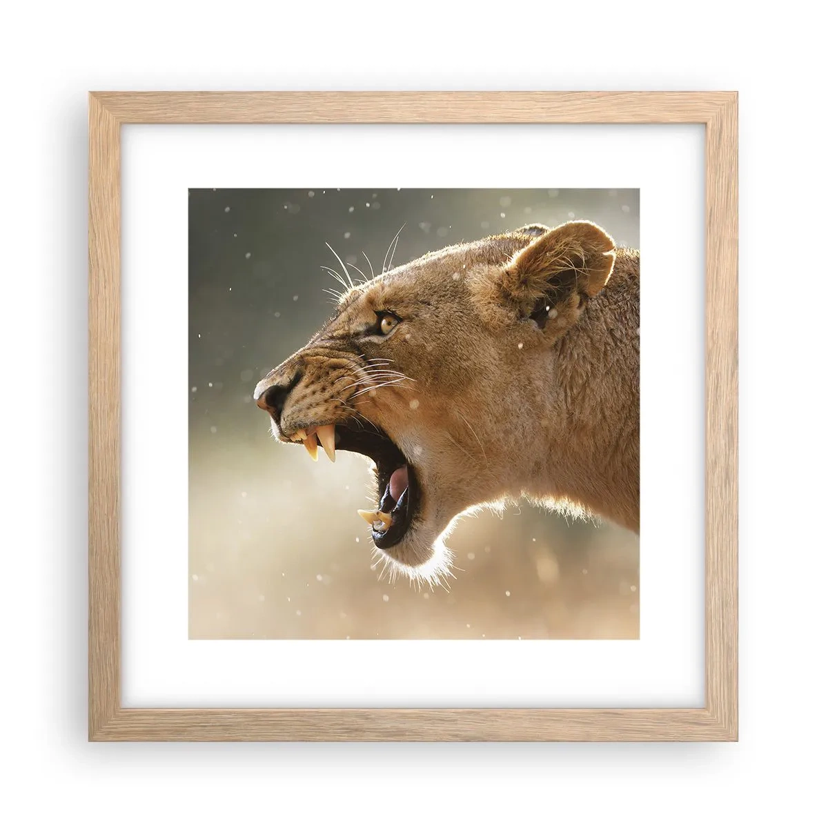 Poster în ramă de stejar deschis - Încearcă să nu asculți - 30x30 cm