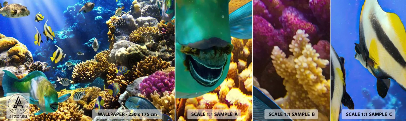 Mostră de Tapet Standard Eco - Trafic intens pe traseul de vacanță - recif de corali, Ocean, Peşte - 100x30 cm