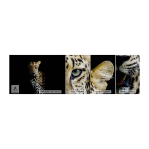 Mostră tapet Premium Canvas - Frumusețe întunecată - Animale, leopard, Pisica sălbatică - 100x30 cm