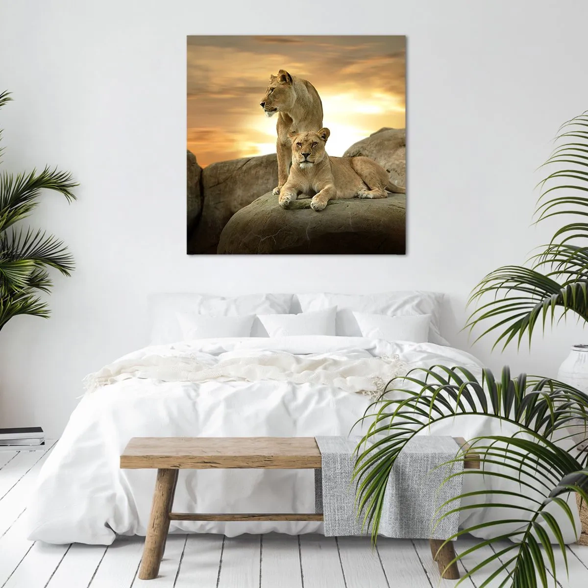 Tablou pe pânză - Maiestate regală - 70x70 cm