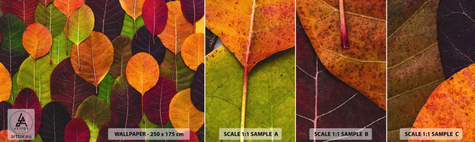 Mostră de Tapet Standard Eco - Mozaic de toamnă - Grafică, Frunze colorate, Bucată - 100x30 cm