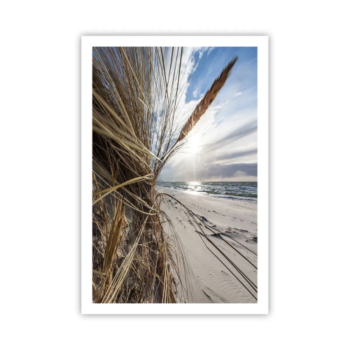 Poster - O întâlnire a elementelor - 61x91 cm