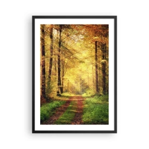 Poster în ramă neagră - O cărare prin pădure în lumina soarelui auriu de toamnă - 50x70cm - Tăcere de aur de pădure - Decorațiune modernă pentru perete pentru living și dormitor ARTTOR
