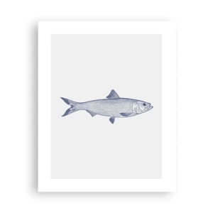 Poster - Salutări din mările nordice - 40x50 cm