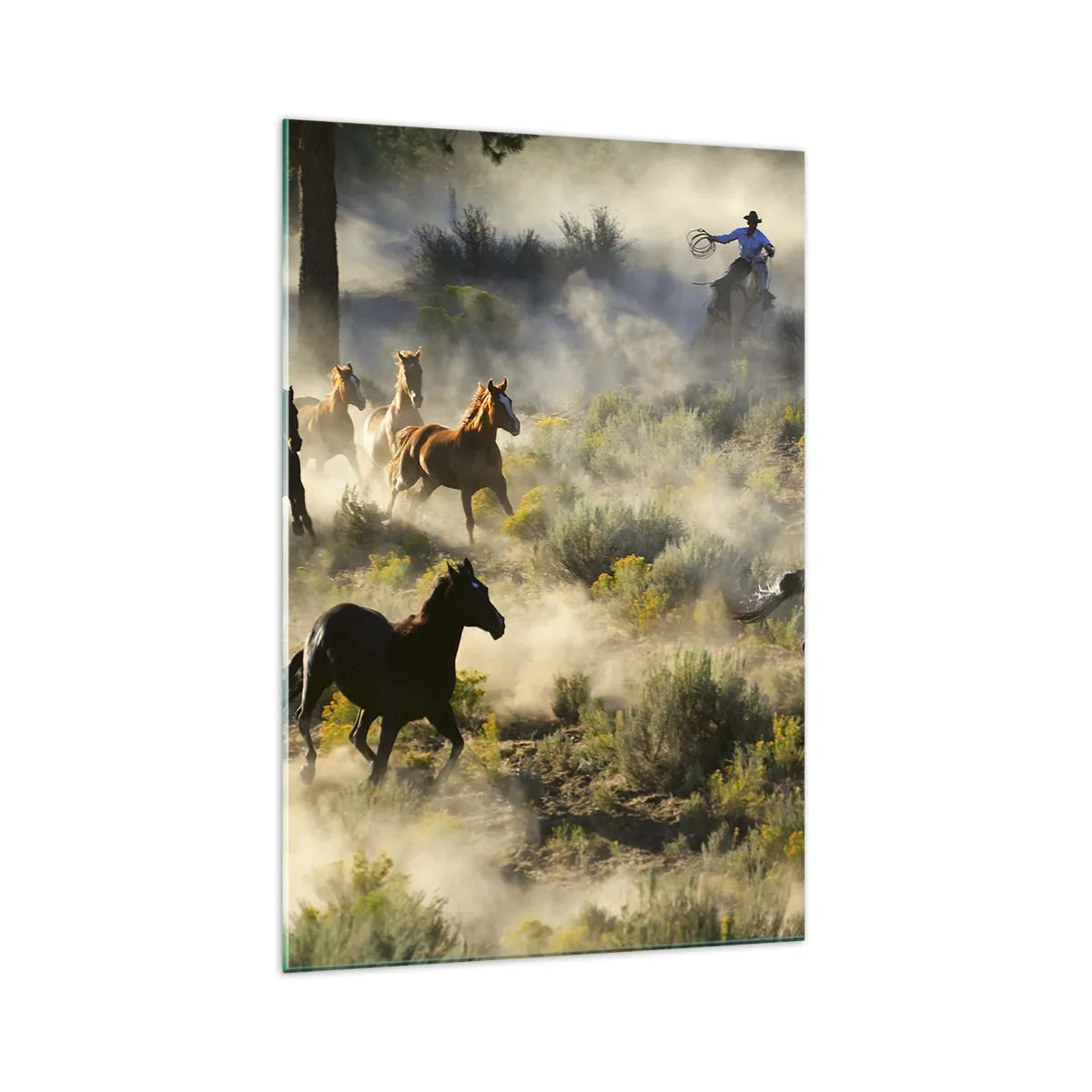 Tablou pe sticlă - Rivalitatea - libertate sau putere masculină? - 70x100 cm