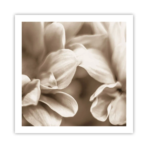 Poster - Blânde ca un zâmbet - 60x60 cm