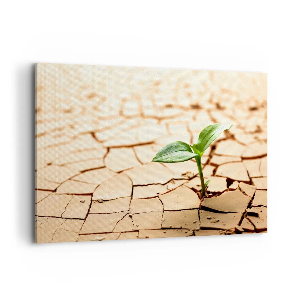 Tablou pe pânză - Forța irepresibilă a vieții - 120x80 cm