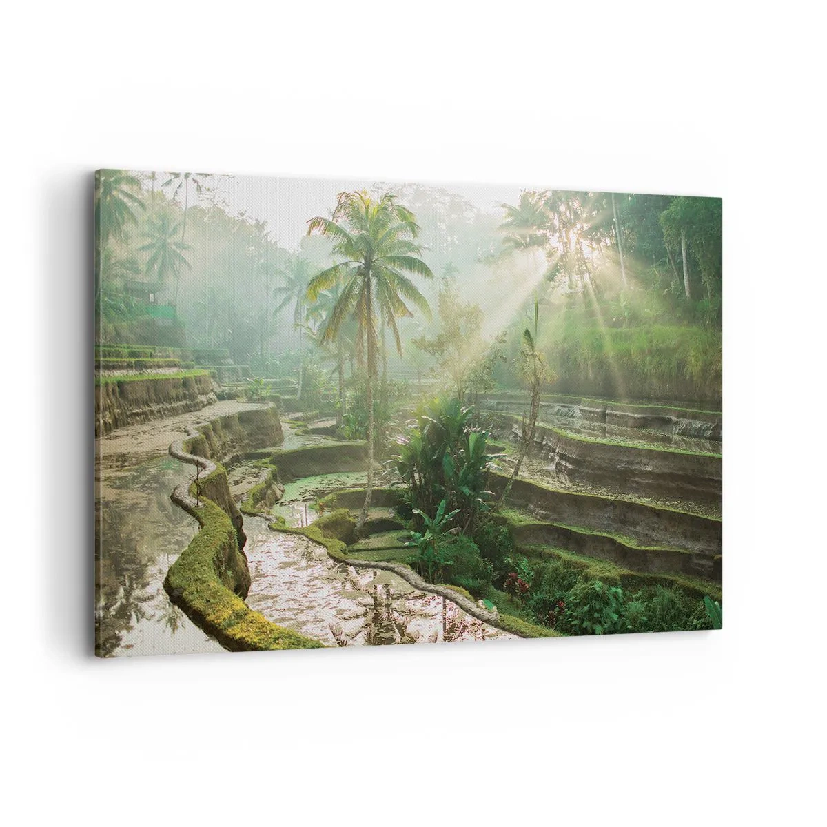 Tablou pe pânză - Crescând la soare - 120x80 cm