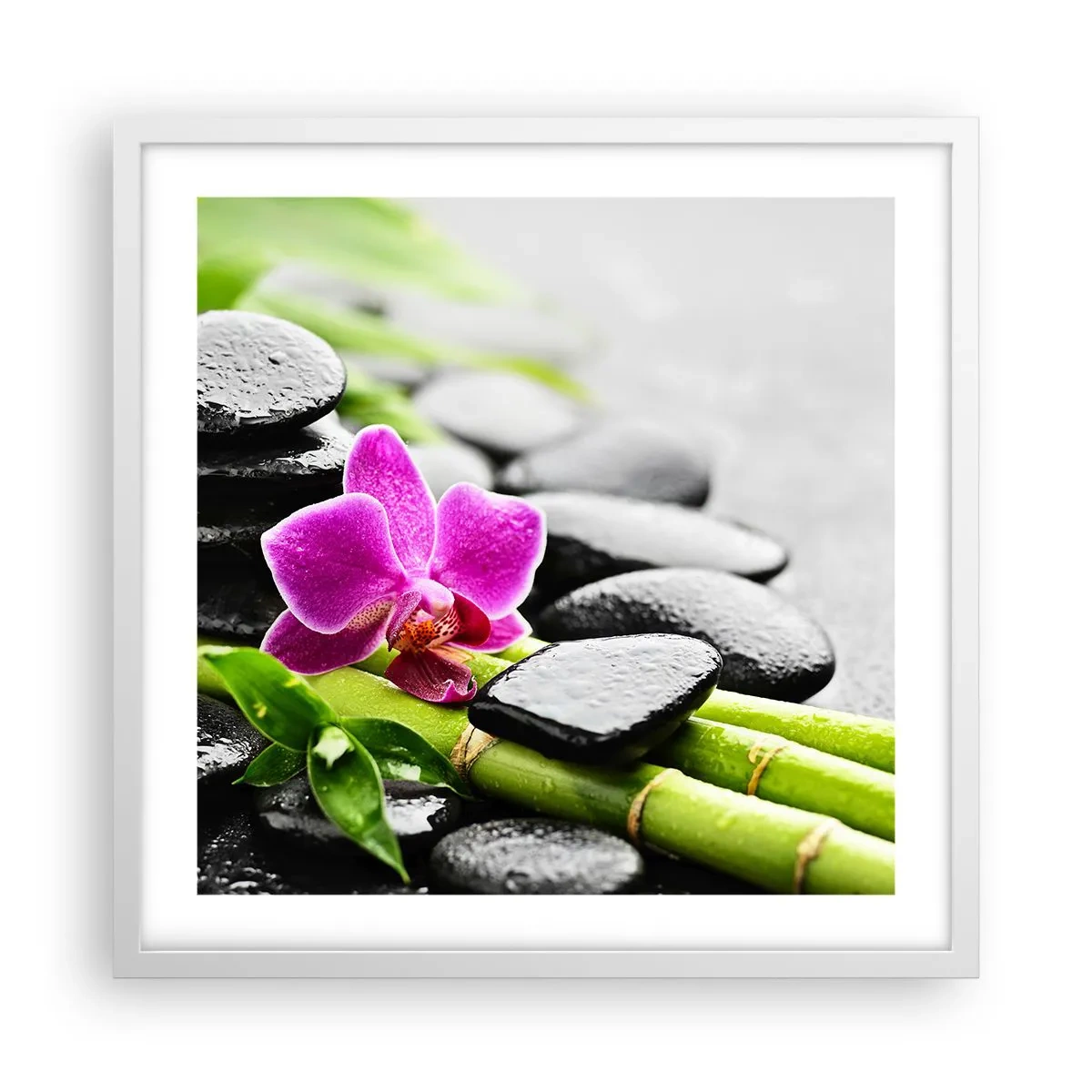 Poster în ramă albă - Într-un echilibru pașnic - 50x50 cm