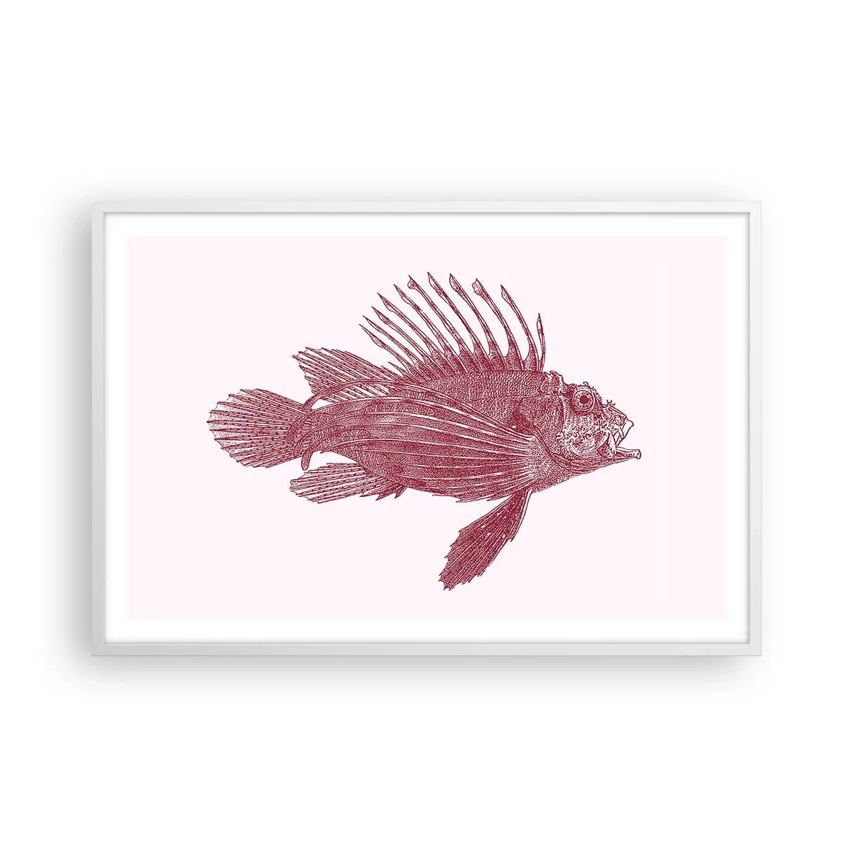 Poster în ramă albă - Un locuitor al apelor exotice - 91x61 cm