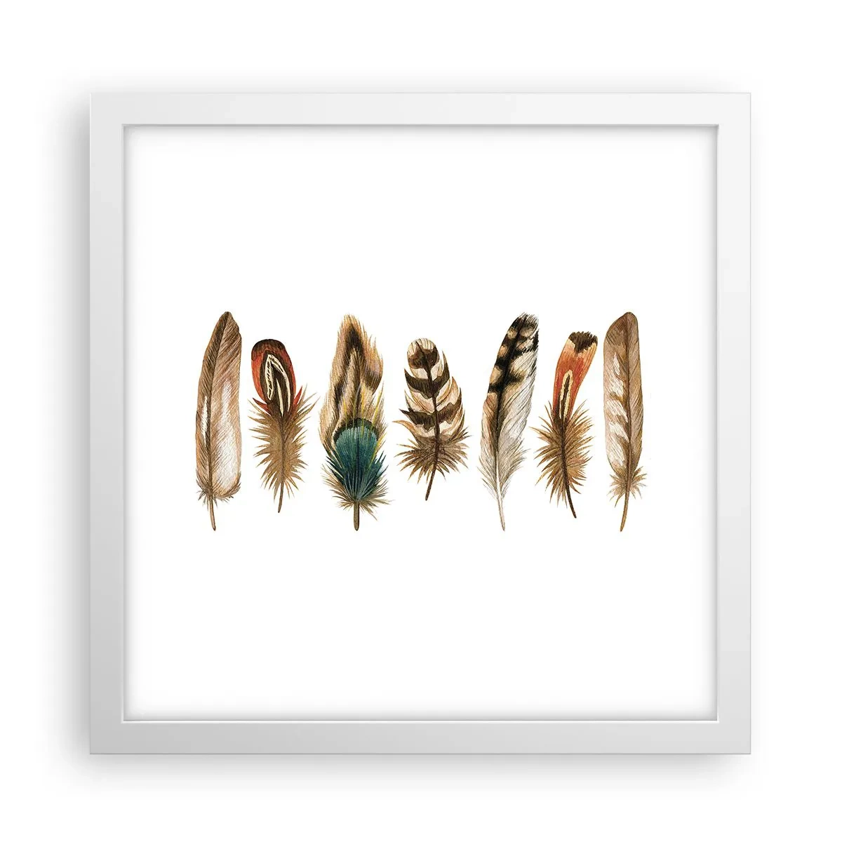 Poster în ramă albă - Variație cu pene - 30x30 cm