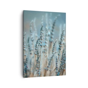 Tablou pe pânză - Câmpul parfumat - 50x70 cm