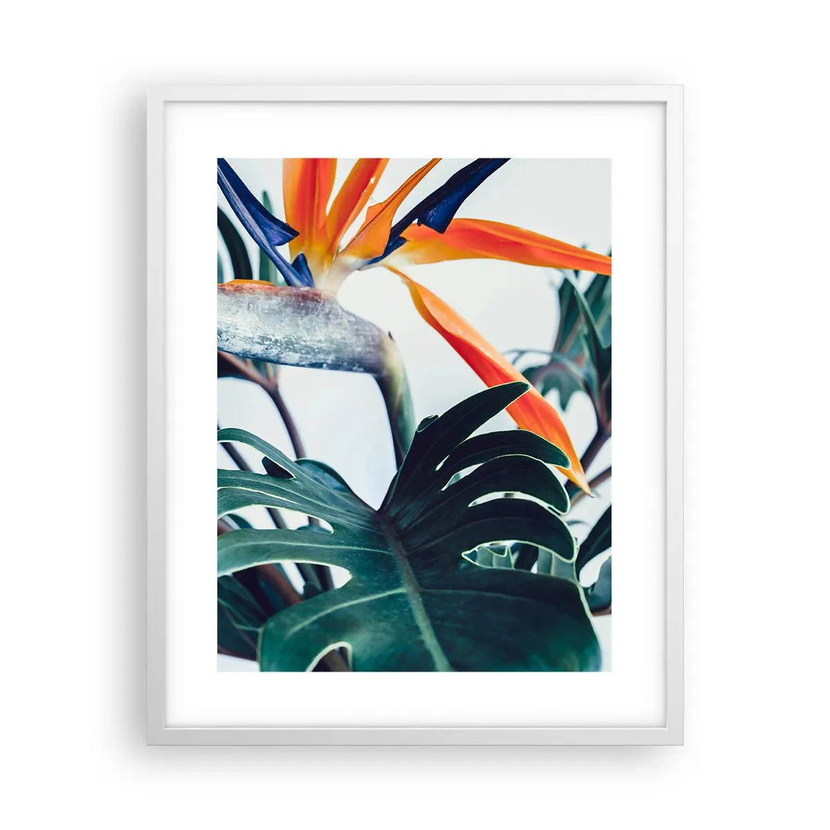 Poster în ramă albă - Tufiș sau pasăre? - 40x50 cm