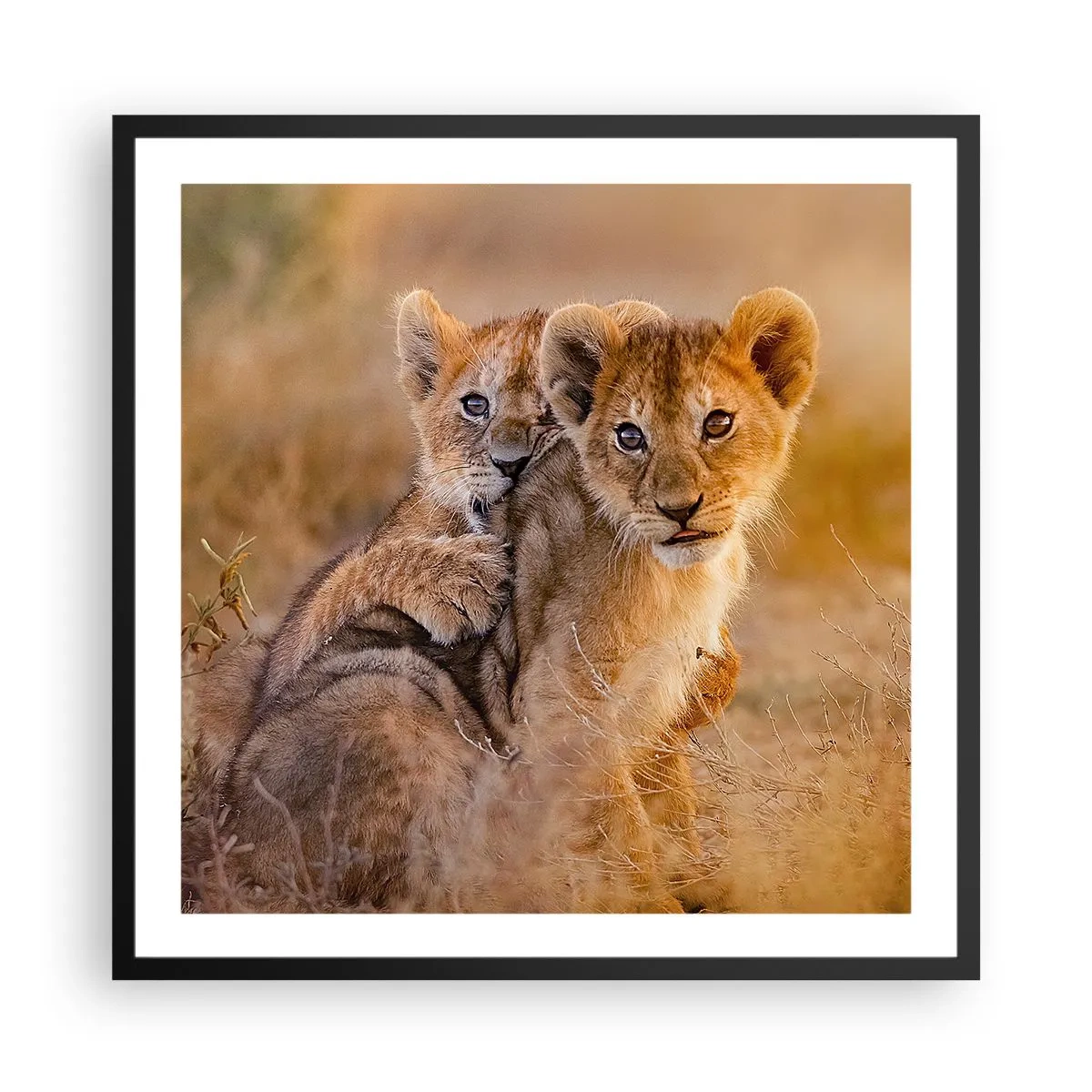 Poster în ramă neagră - Nu deranjați! Ne distrăm - 60x60 cm