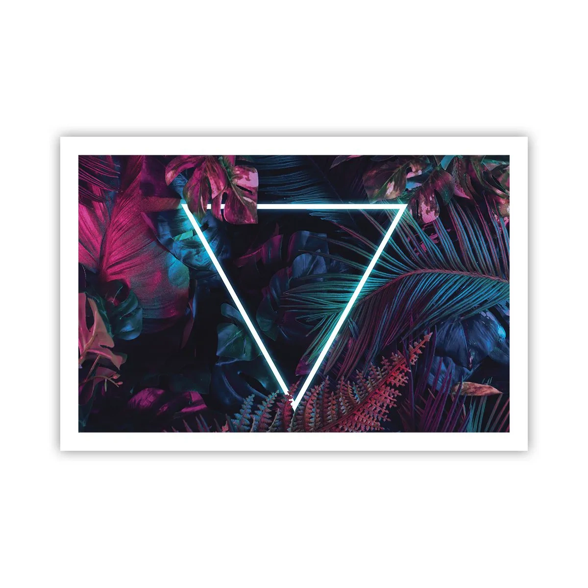 Poster - Grădină în stil disco - 91x61 cm