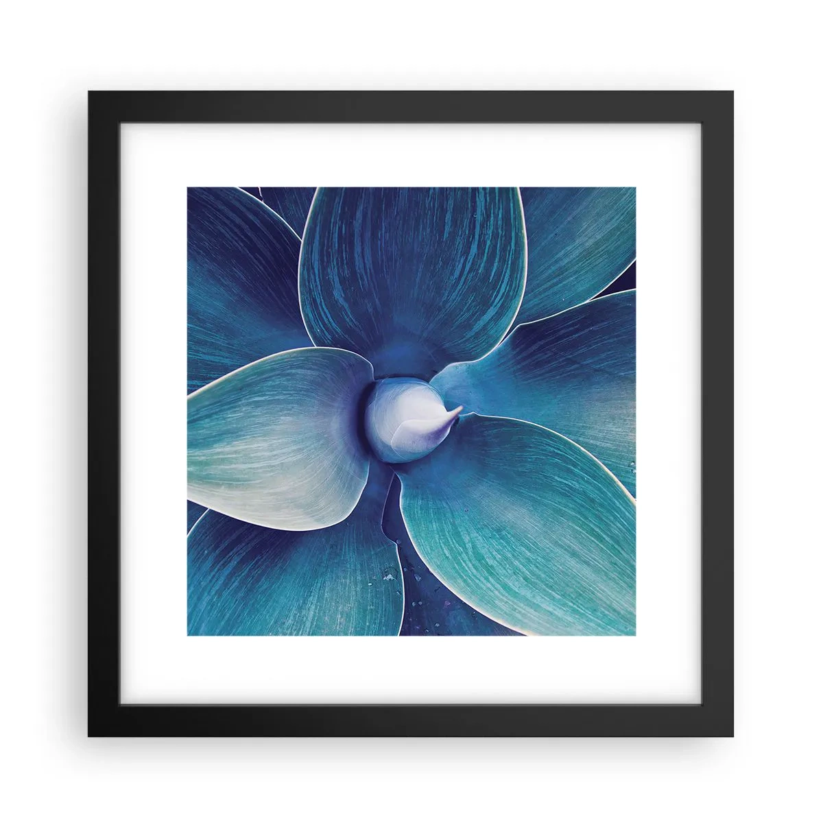 Poster în ramă neagră - A furat albastrul de la cer - 30x30 cm