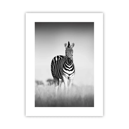 Poster - Și totuși lumea e albă și neagră - 30x40 cm