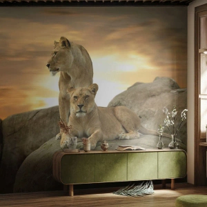 Tapet Premium Sand - Maiestate regală - Animale, Leu, Natură - 150x105 cm