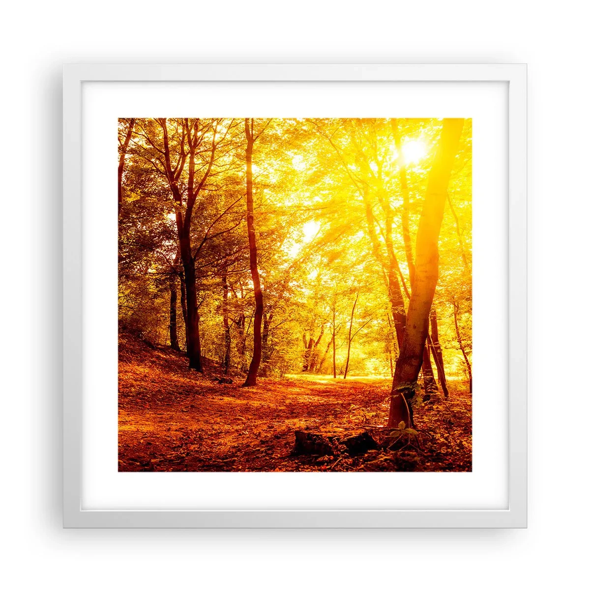 Poster în ramă albă - Spre o poiană de aur - 40x40 cm