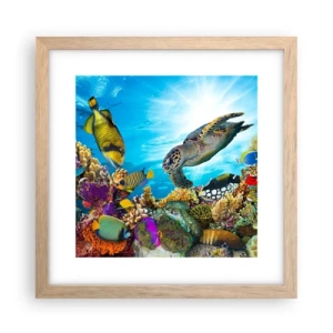 Poster în ramă de stejar deschis - Promenada de corali - 30x30 cm