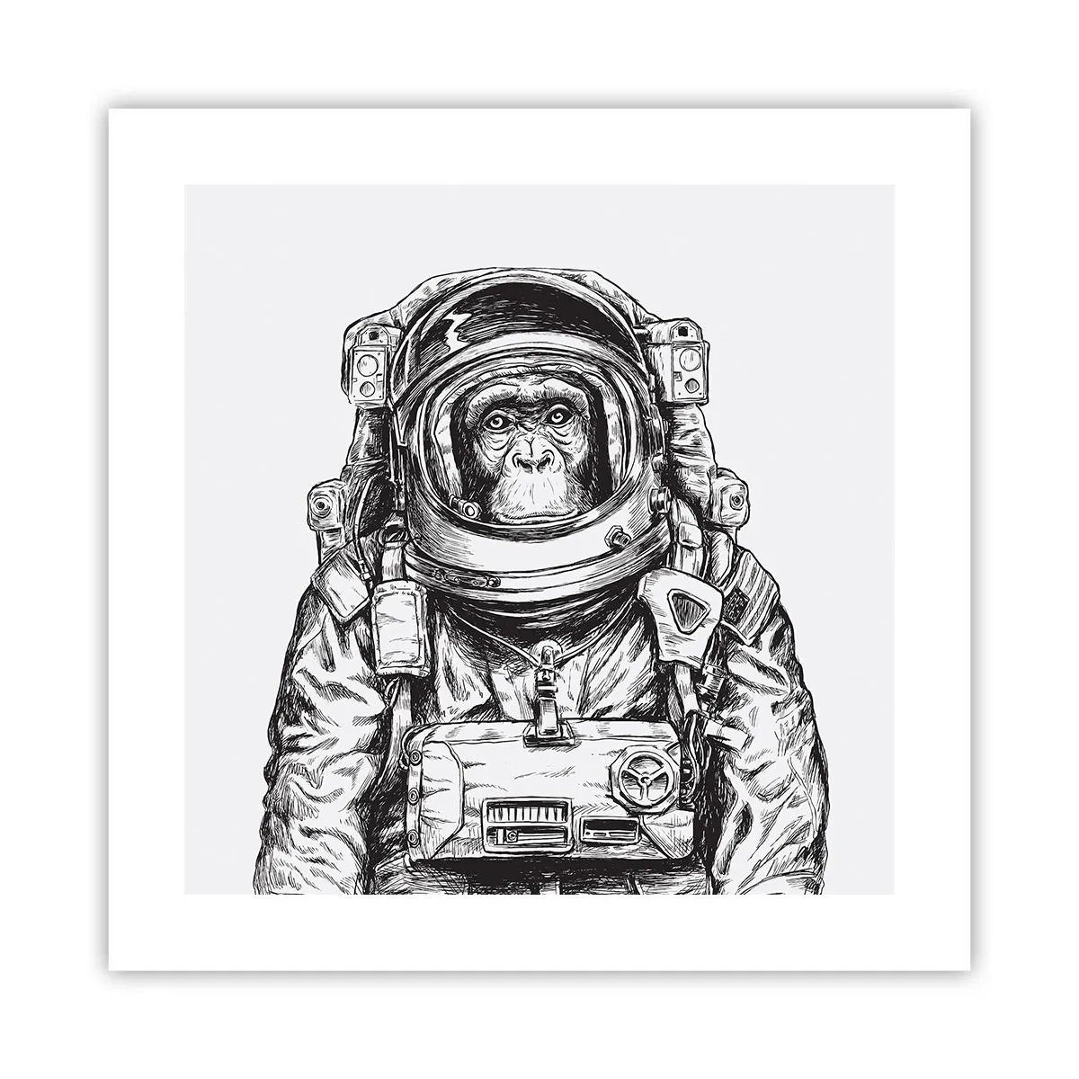 Poster - Evoluție alternativă - 40x40 cm