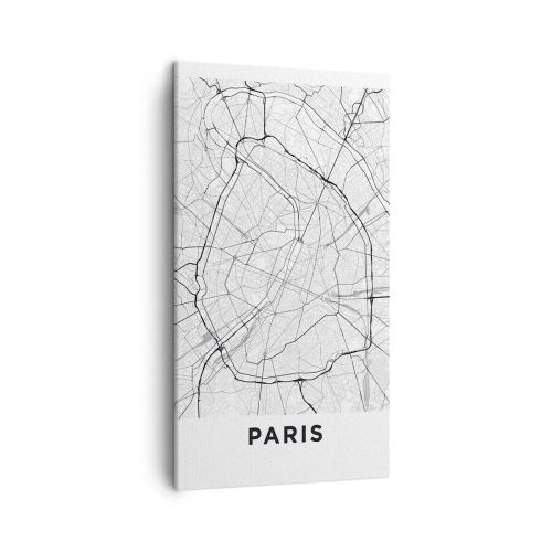 Tablou pe pânză - Floarea Parisului - 45x80 cm