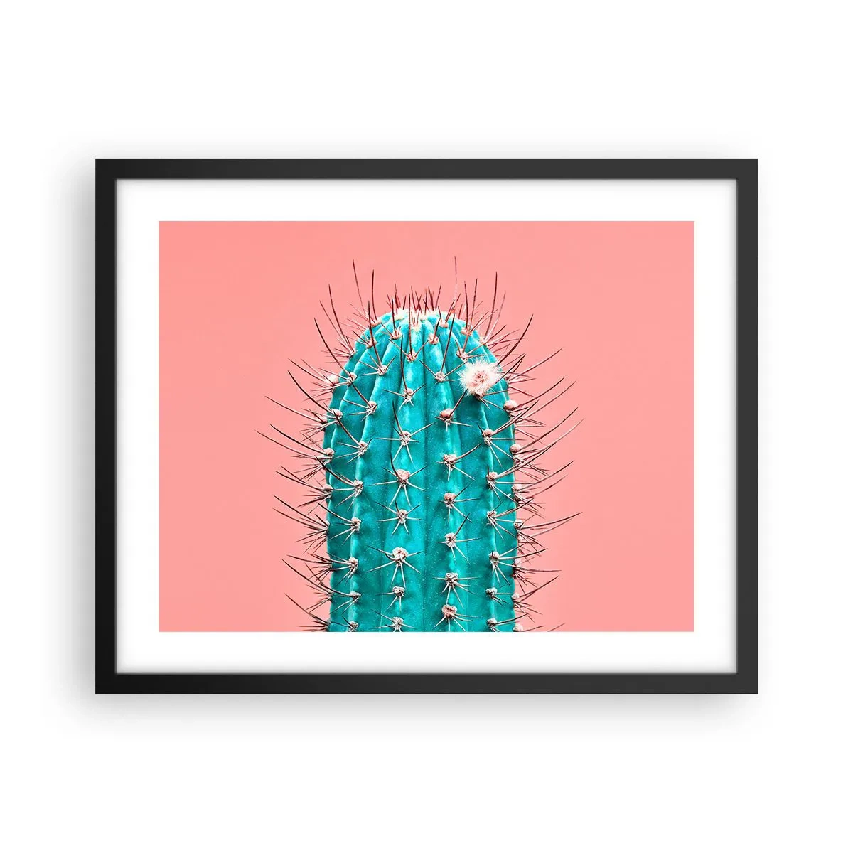 Poster în ramă neagră - Doar privește - 50x40 cm