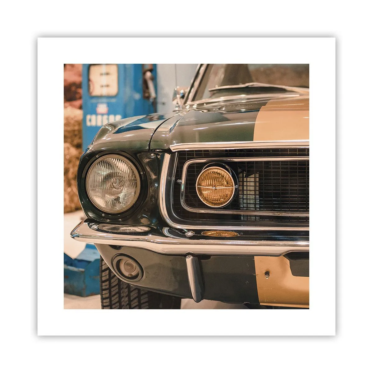 Poster - Întâlnire cu o legendă - 40x40 cm