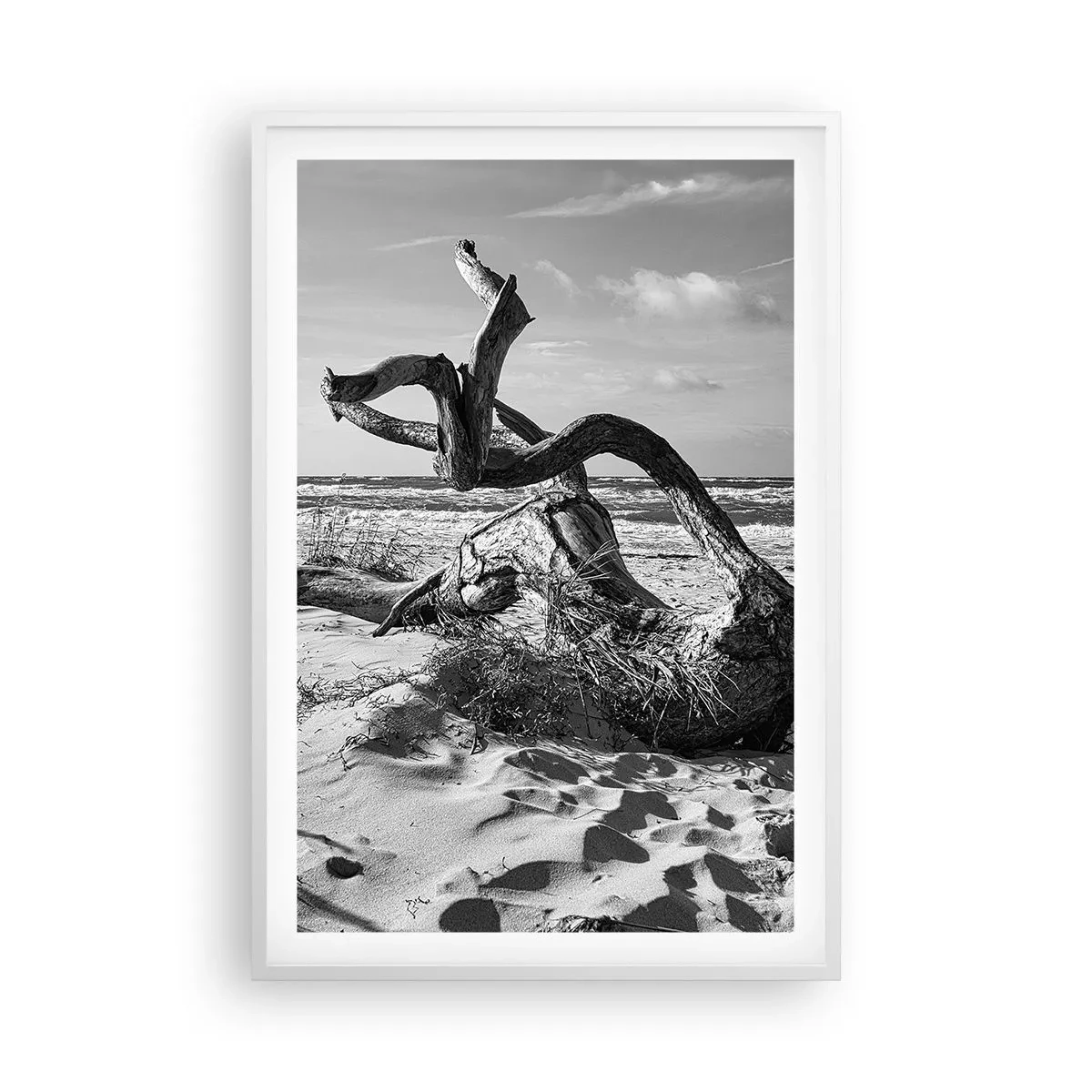 Poster în ramă albă - Sculptură marină - 61x91 cm