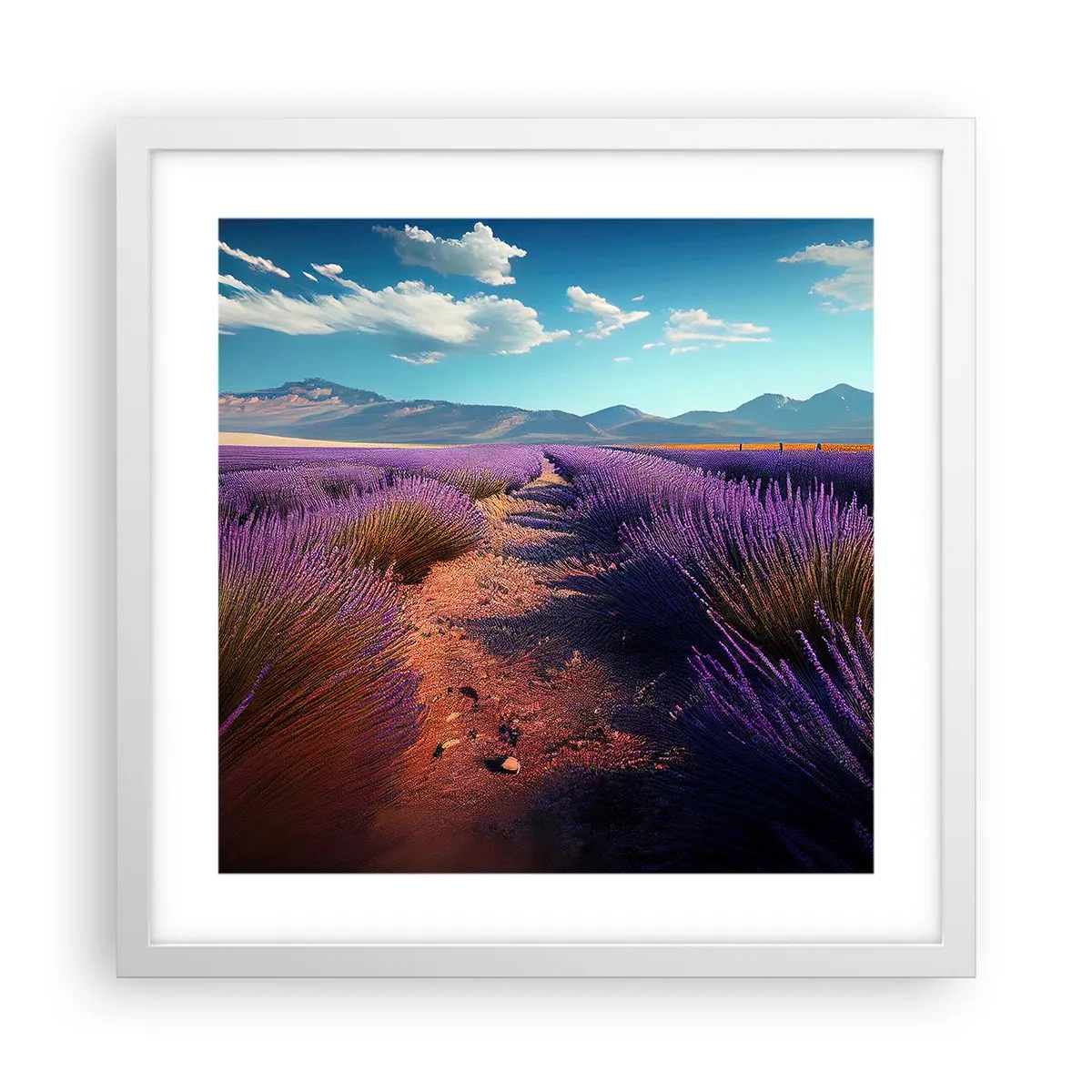Poster în ramă albă - Câmpuri parfumate - 40x40 cm
