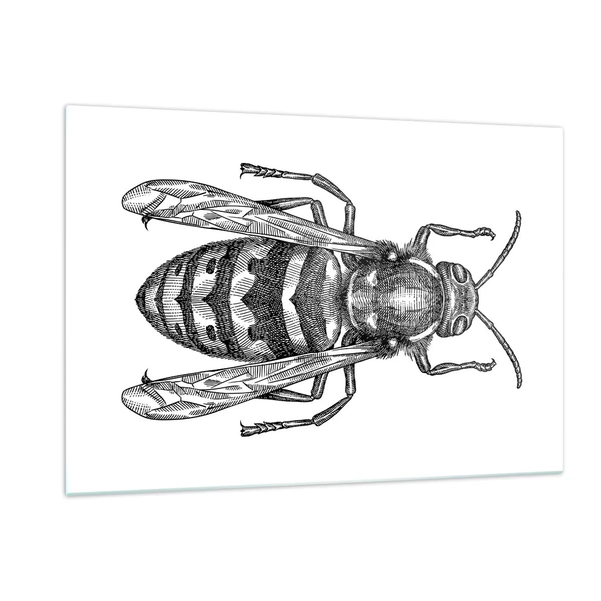 Tablou pe sticlă - De pe o planetă de insecte - 120x80 cm