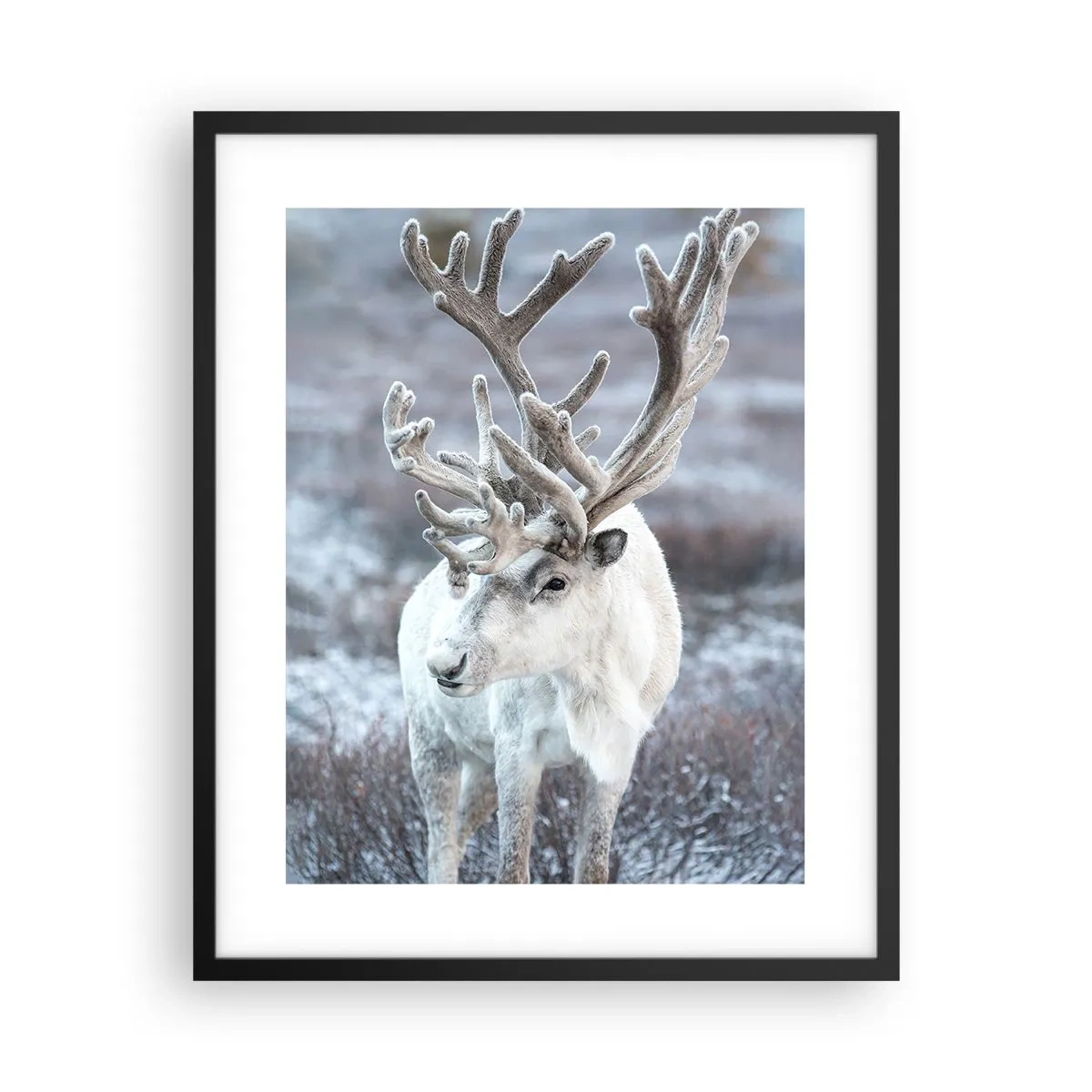 Poster în ramă neagră - Portret la soare - 40x50 cm