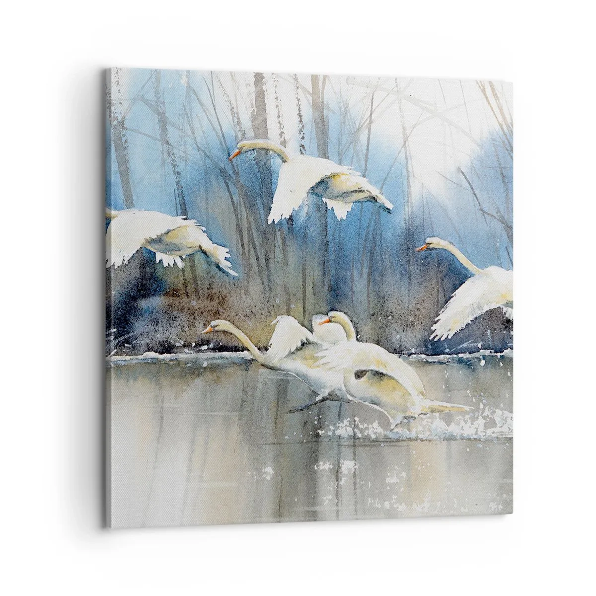 Tablou pe pânză - Dansând cu lebedele sălbatice - 60x60 cm