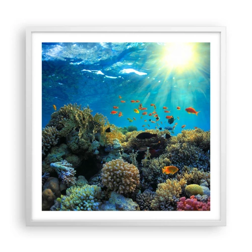 Poster în ramă albă - Comori subacvatice - 60x60 cm