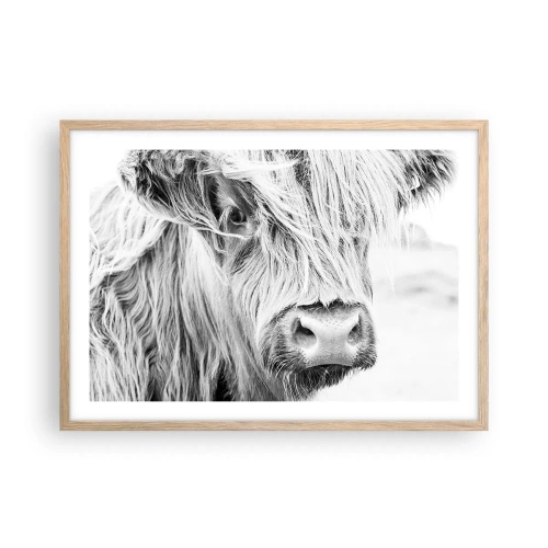 Poster în ramă de stejar deschis - Sălbăticie scoțiană - 70x50 cm