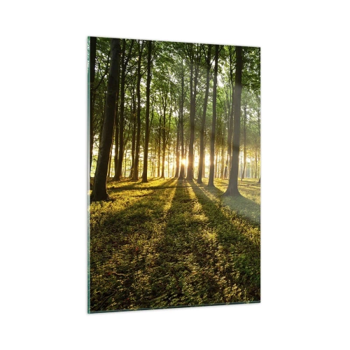 Tablou pe sticlă - Fotografia tuturor primăverilor - 50x70 cm