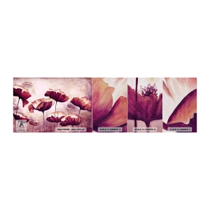 Mostră tapet Premium Canvas - Fulgi roșii și albi - Abstracția, Flori, Bucată - 100x30 cm