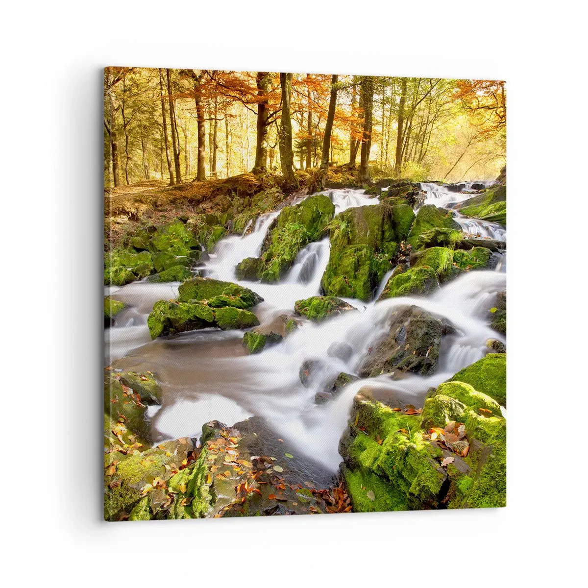 Tablou pe pânză - Repede prin pădure de toamnă - 60x60 cm