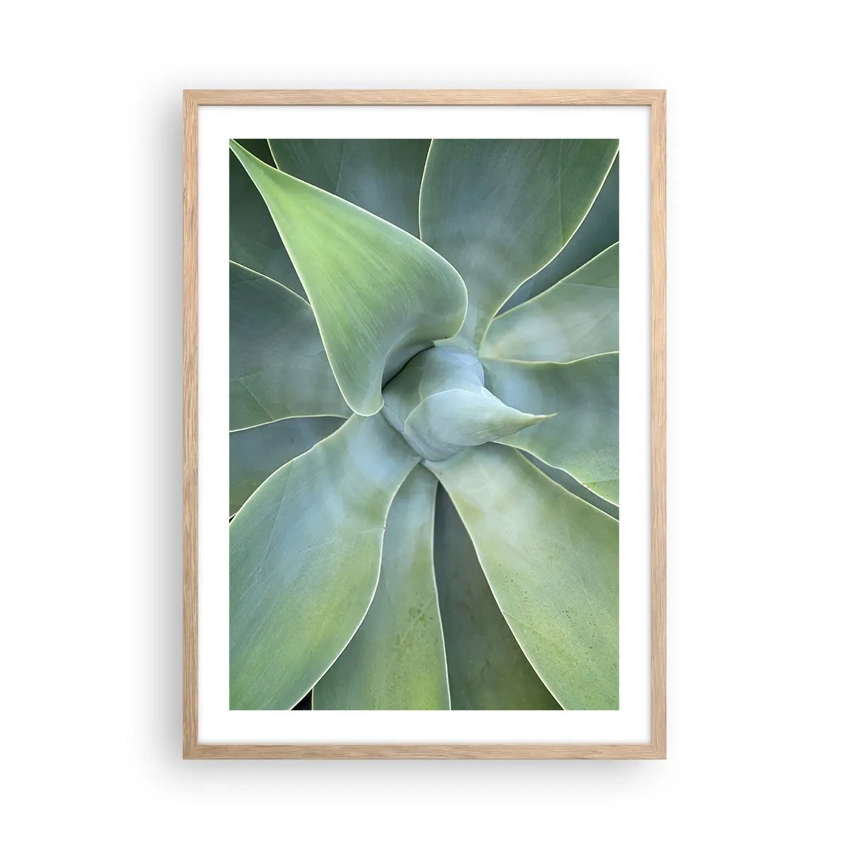 Poster în ramă de stejar deschis - Nașterea verdeții - 50x70 cm