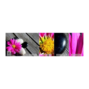 Mostră tapet autocolant Deluxe Sticker - Odihnă pe dig - Floare, Pietre, Pod de lemn - 100x30 cm